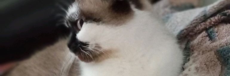 Меня парень бросил🥺💔