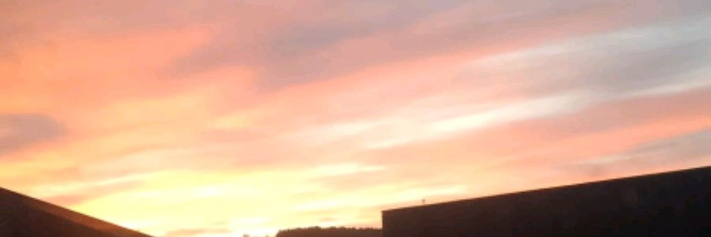 Елена Коваленкова