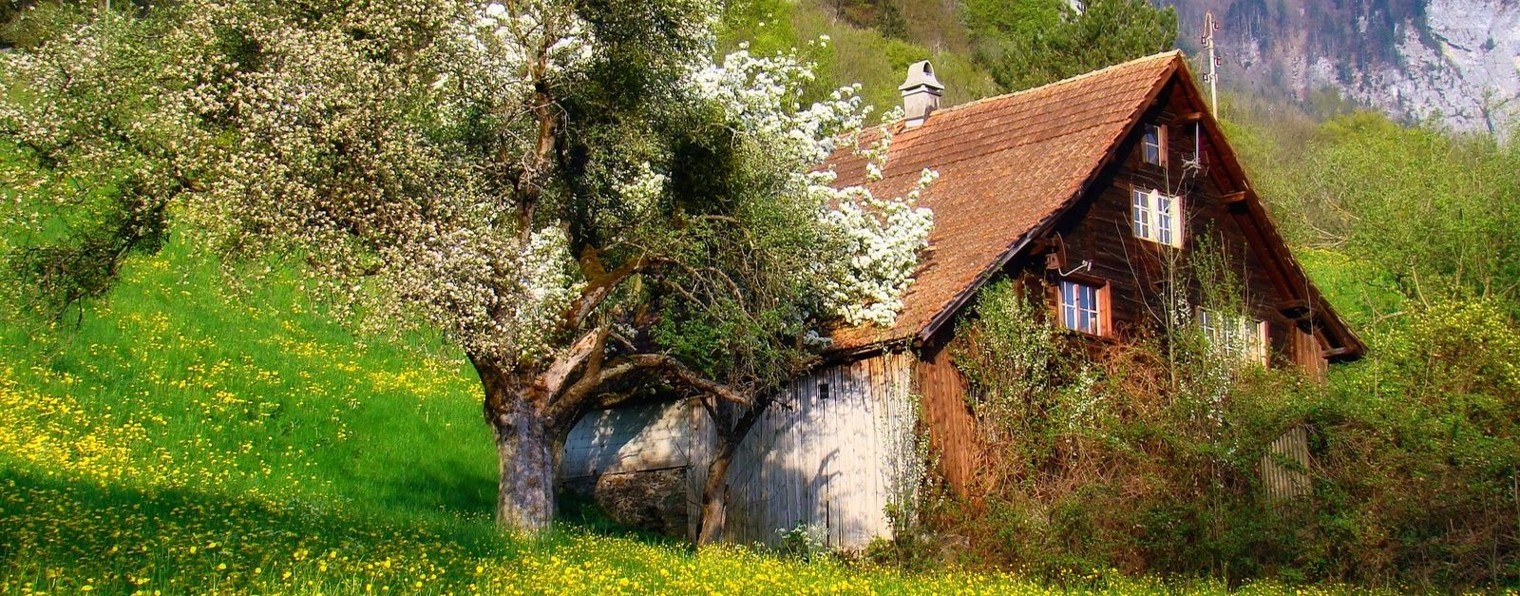 Рубленые Дома и Бани