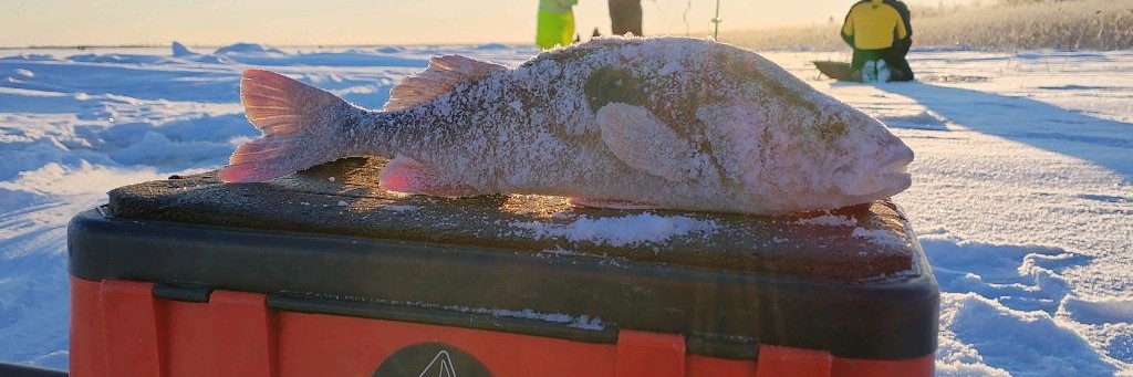 Кравченко Сергей Life