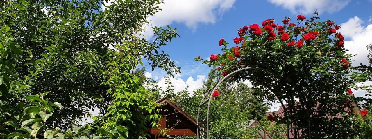 Галина Андреева