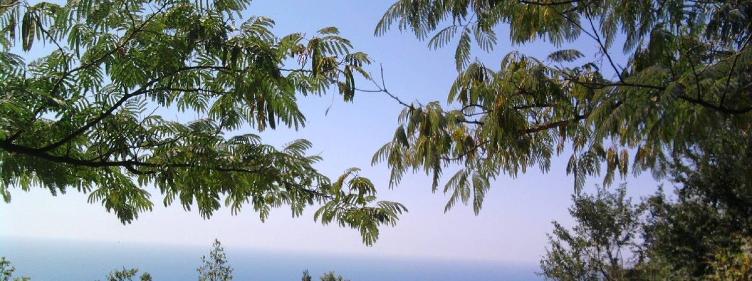 Английский для старшего возраста