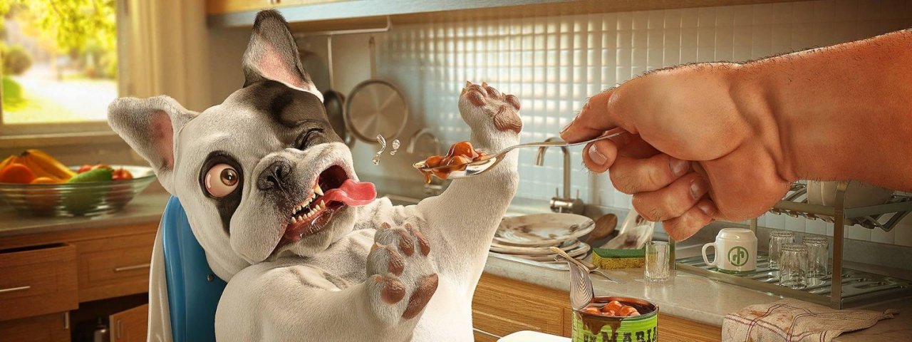 Приколы с животными