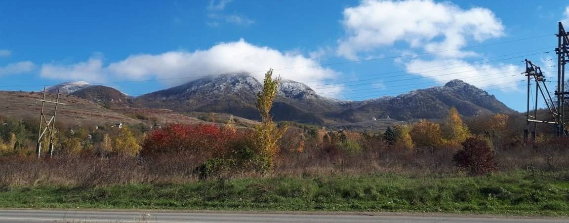 Семья 2️⃣6️⃣ питомцеV