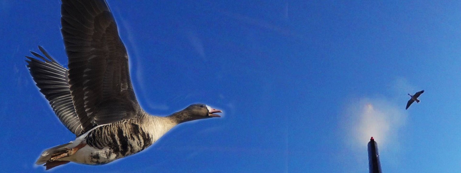 С Охоты На рыбалку