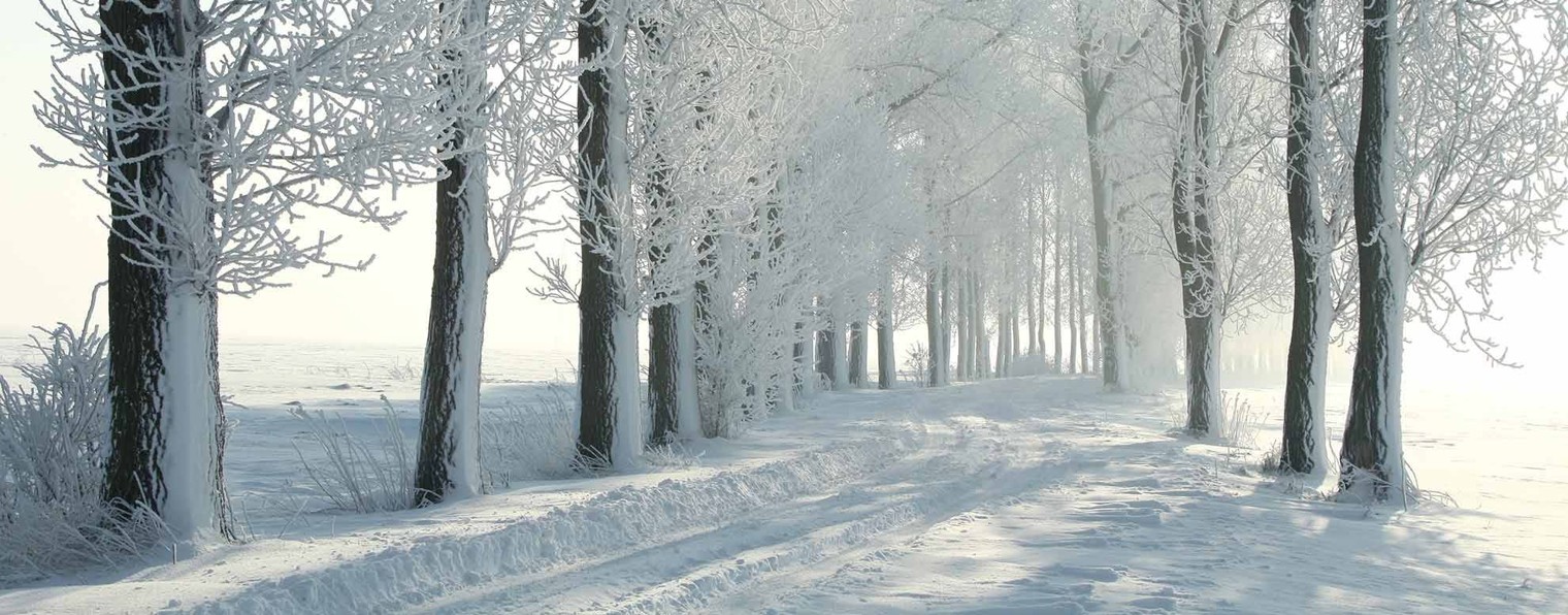 mr.Autolife  -  ремонт автомобильных  суппортов