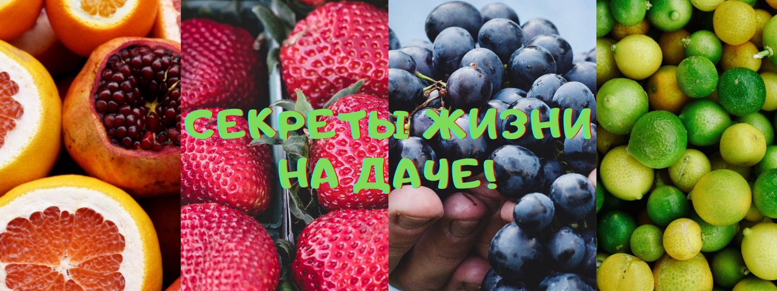 Секреты жизни на даче