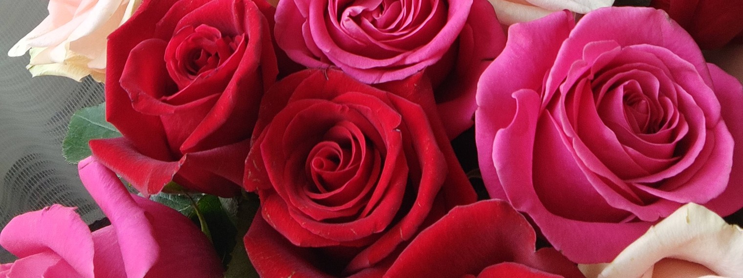 60 Соток в Сибири