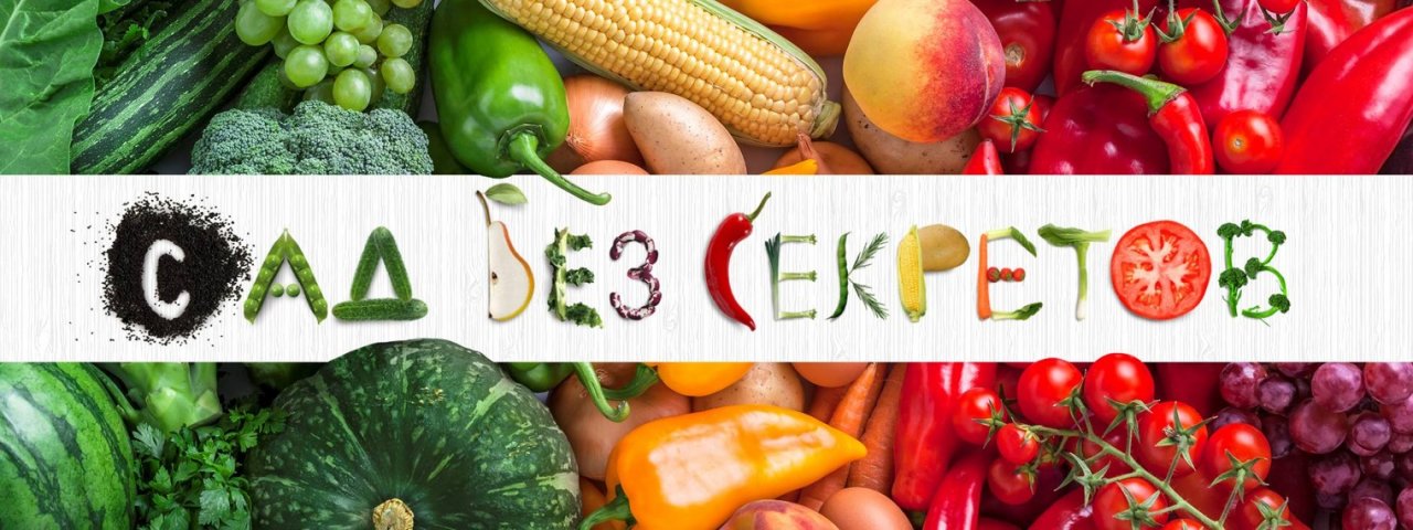 САД БЕЗ СЕКРЕТОВ