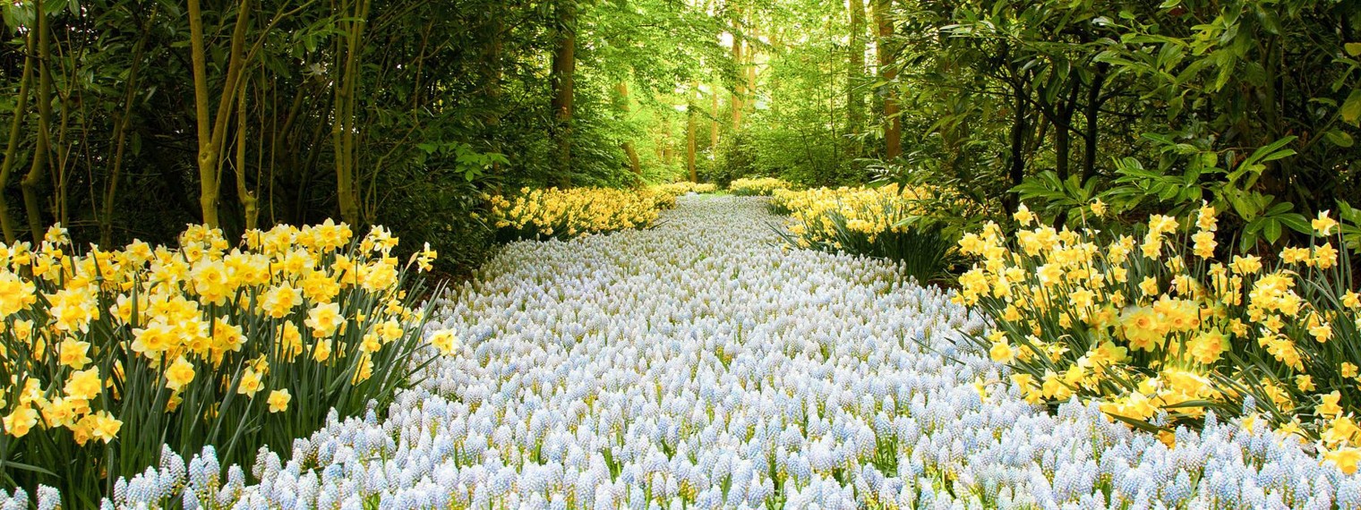 Татьяна Щукина