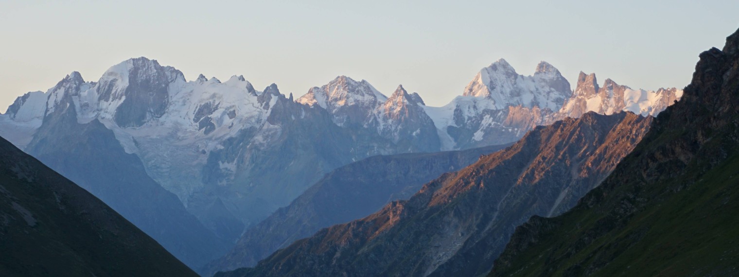 Григорий Витков