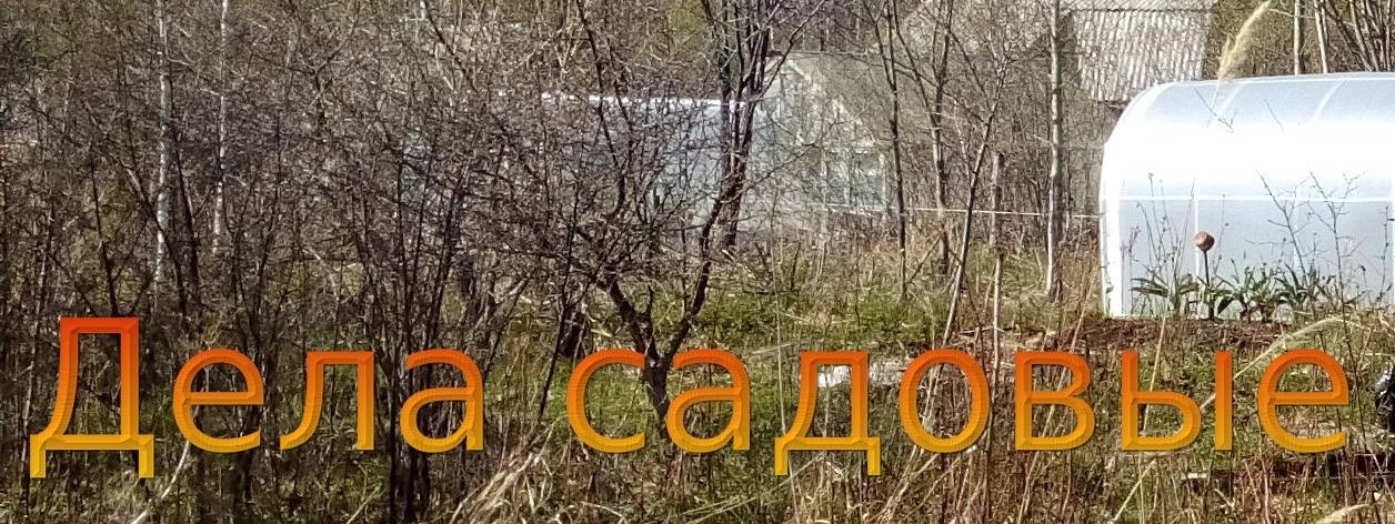 Гарипов Олег