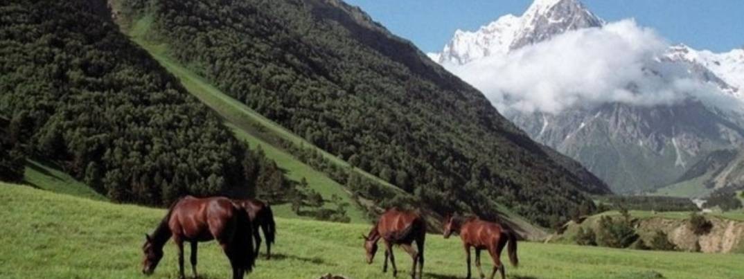 Счастье не за горами Нальчик