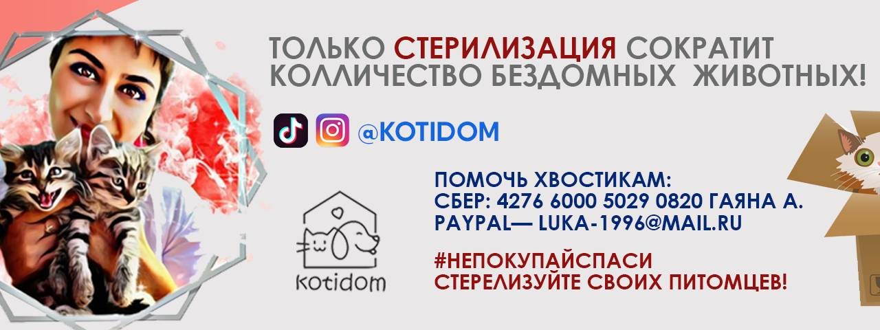 Четвероногие Друзья