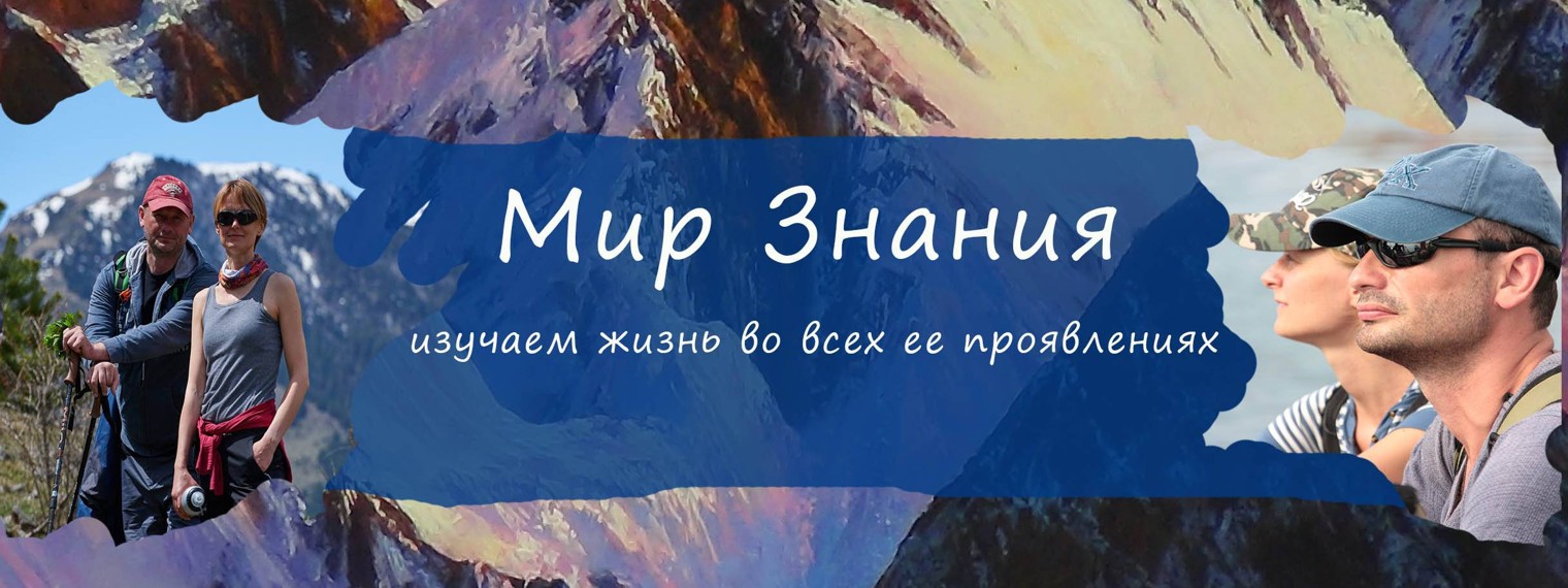 Мир Знания