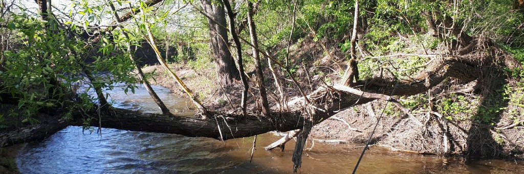 В поиске рыбы 64