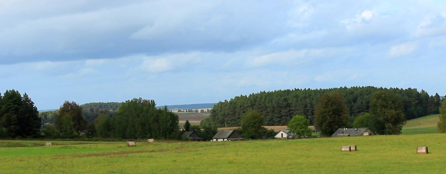 ДОМ В ДЕРЕВНЕ