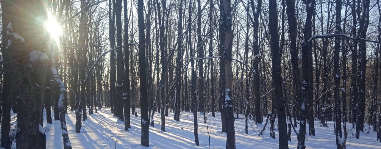 Саня обо всём