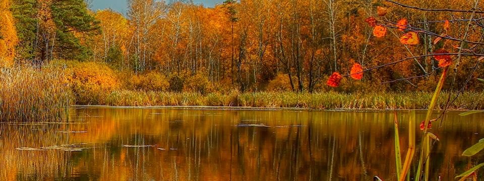 Sergey Voronin,s music