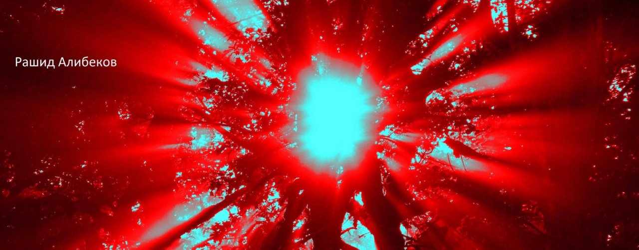 Рашид Алибеков