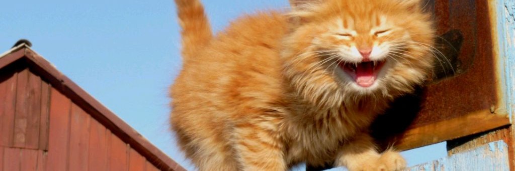 Юрий Лунин / Lunin Family