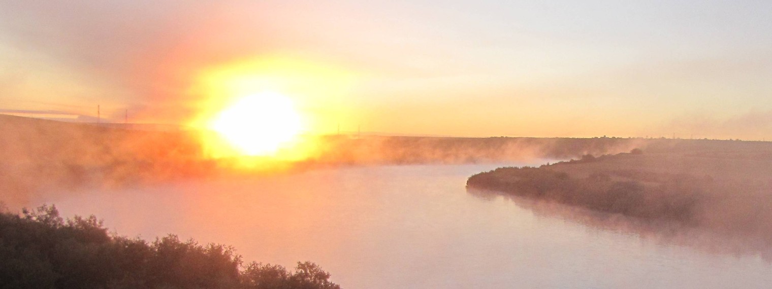 Олег Стародуб. Отдыхать на драйве.