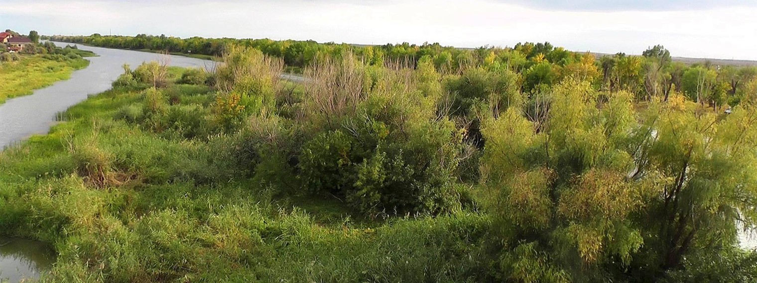 Астраханская степь