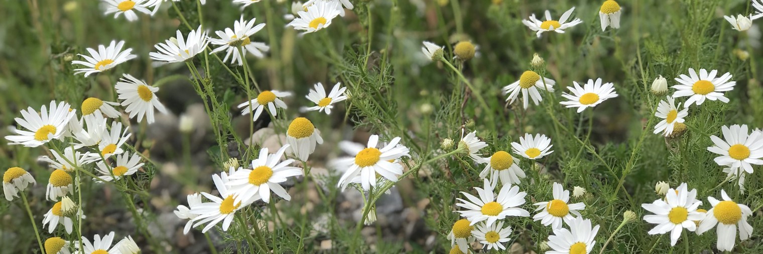 Edinorozhka?Radyga?Sportsmenkа??‍♀️