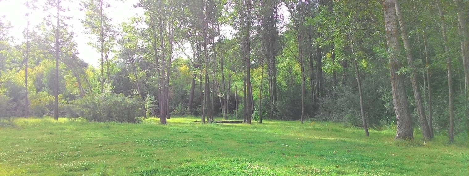 Хатха Йога Рафиков Рашид