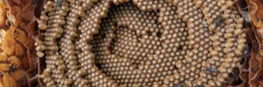 Вячеслав Котляров •Фанатский Канал•