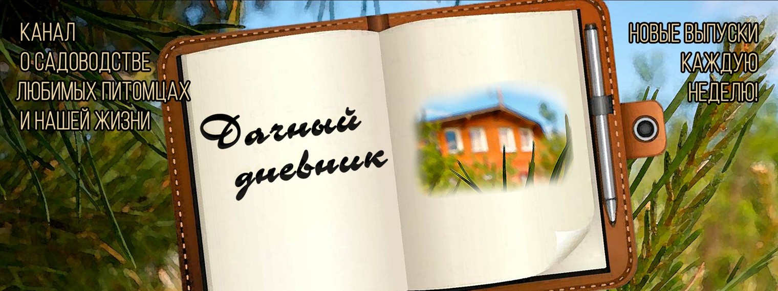 Дачный Дневник