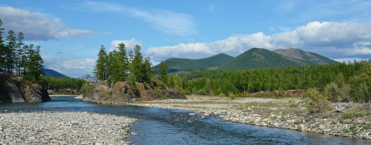 Охота, рыбалка, путешествия