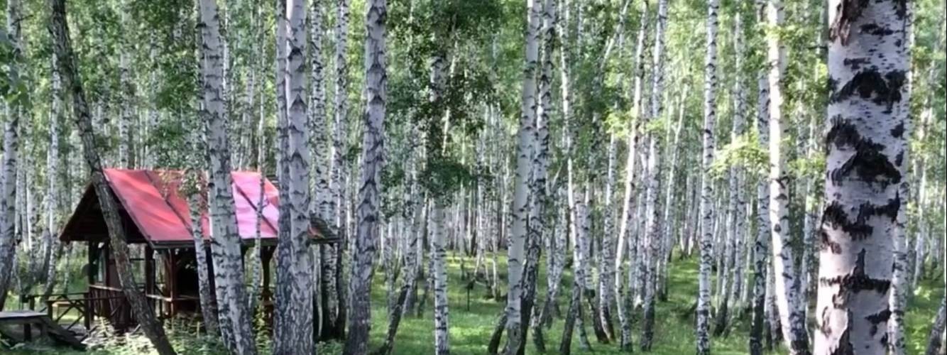 НЕ ПОЛЕ ПЕРЕЙТИ