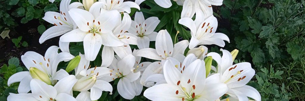 Удивительное рядом