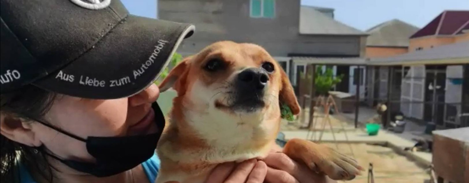 Елена Симакина