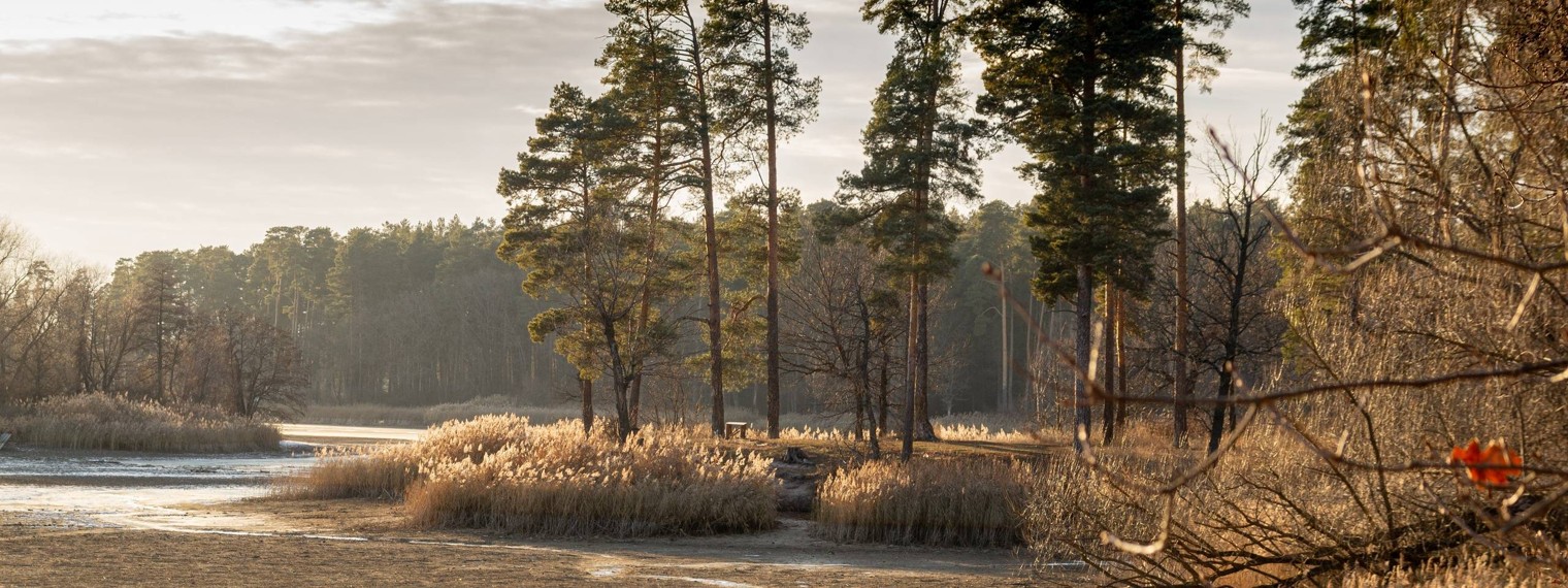 Михаил Краев