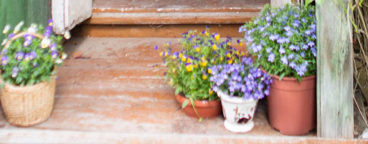 Старая новая дача/Цифровая психология