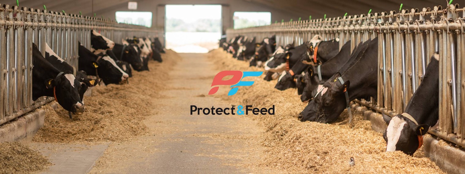«Протектфид» — интересно о животноводстве