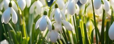 Валентина Новикова