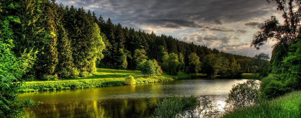 Алексей Куц