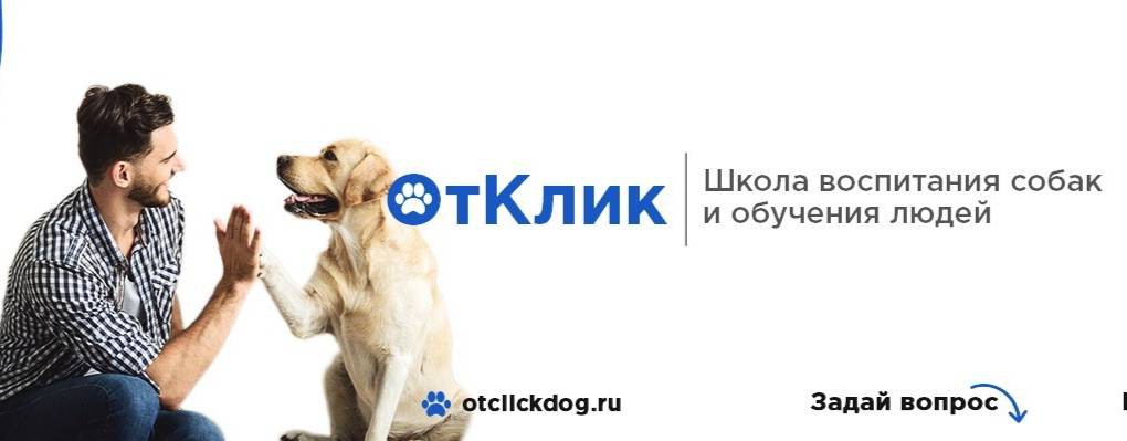 otclickdog