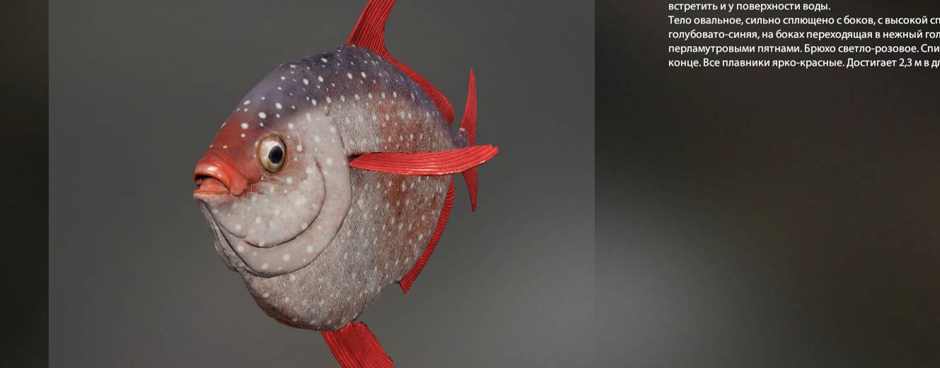 07 Александр61