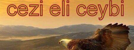 ДИДОЙСКИЙ РАЙОН