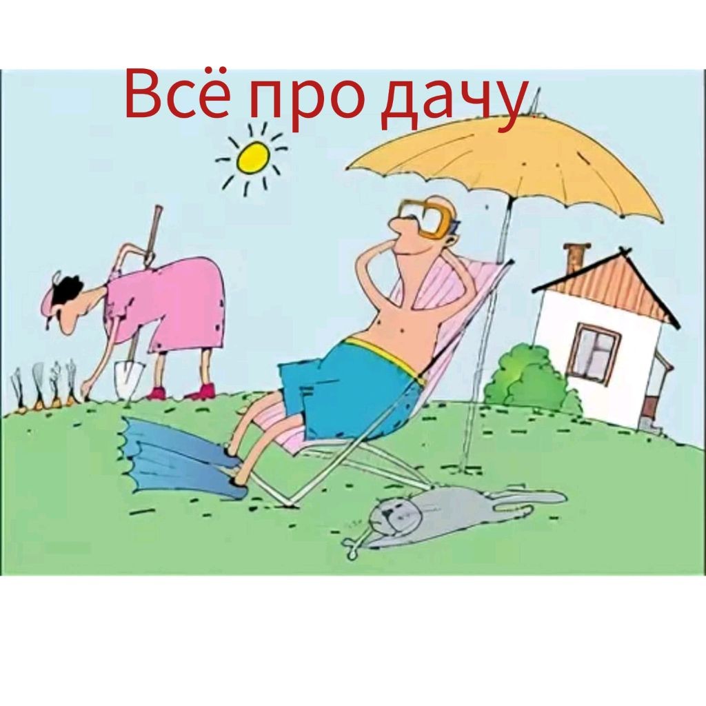 Всё про дачу.