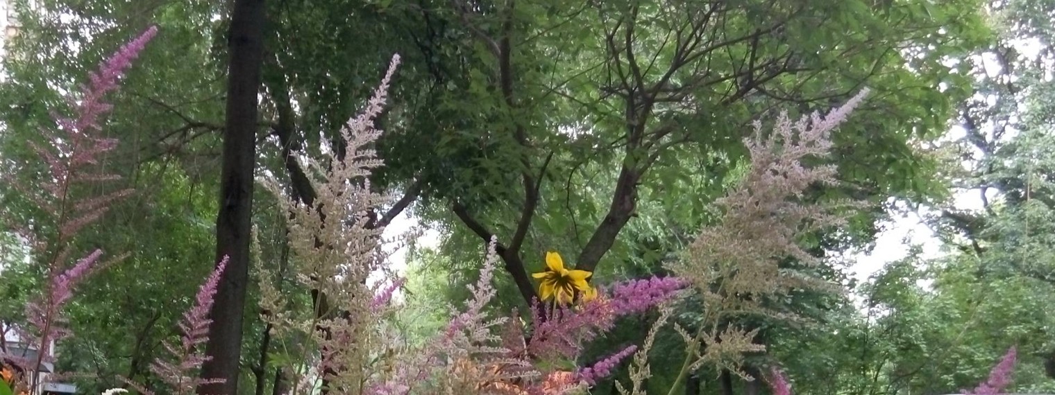 Олег Иванов