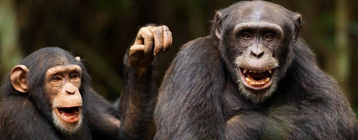 Смешное Рядом!