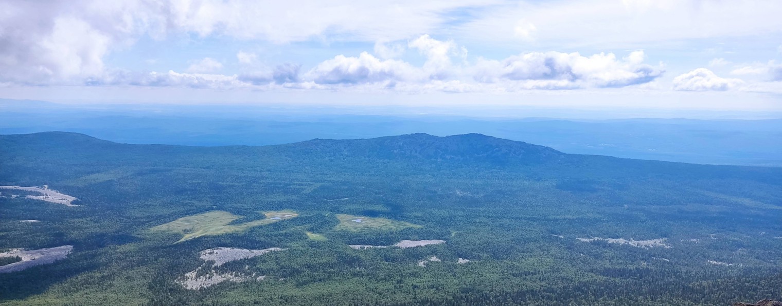 Вадим Антонов-Вольный