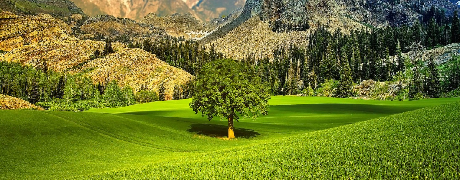 Гармония природы