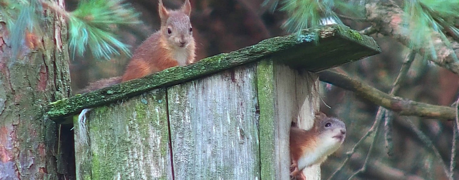 ЦЕНТР ПРИРОДЫ