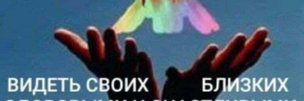 Полярная Сова Вяжет